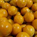 Cooksnap dari Eva Jamalullail untuk resep NASTAR kinclong, lembut, lumer || Rasa Premium