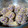 Cooksnap dari Chocobeez untuk resep Kroket Ubi Ungu Lumer 😍