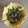 El cooksnap de MurcianicaEnLondres cuando hizo Guacamole estilo hablamos de comida.