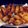 El cooksnap de Nora cuando hizo Tapas de empanadas argentinas.