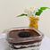 Cooksnap dari happy septria untuk resep Chesse Cake In Jar
