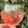 Cooksnap de Lorival Cardoso quando cozinhou Pink Tonic.