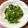 Lin Shu Jhen 的 快炒蒜香A菜（低醣生酮餐）（方便素/素食）（快速料理）（簡單料理） cooksnap