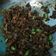 Cooksnap dari Dian Lim untuk resep Tumis Tuday Tempe 