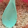 Cooksnap KAM semasa beliau membuat Nasi Goreng Cina.