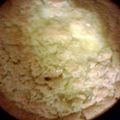 barbiebostwick's cooksnap of when they made Corn Pudding.