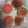 El cooksnap de Daniela Morales cuando hizo Croquetas de atún con queso.