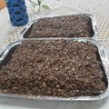 El cooksnap de Daniela Cuadrelli cuando hizo Turrón de avena (o alemán o Quaker).