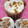 El cooksnap de Naty N cuando hizo Pan dulce navideño🎄🎄receta de Osvaldo Gross.