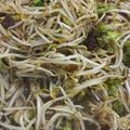 Cooksnap dari Dyah Isnaini Puspitasari untuk resep Tumis toge daging sapi