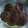 Cooksnap dari Nia d'Kitch untuk resep Kue Cubit