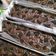 Cooksnap dari Angken Keenan untuk resep Fudge Brownies 3 telur