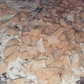El cooksnap de Guadalupe cuando hizo Ñoquis de papa y batata.