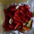 Cooksnap dari Nisa Rizky untuk resep Cara Menyimpan Cabai Agar Awet Dan Tahan Lama Di Kulkas
