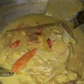 Cooksnap dari Ekka Diana's NuAmoorea untuk resep Ikan Kakap Kuah Kuning