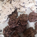 El cooksnap de Melina Broin cuando hizo Galletas de avena sin harina.