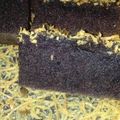 Cooksnap dari RA.Dinna Aryanti untuk resep Bolu Ketan Hitam