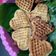 Cooksnap dari Chacha Prasetyo untuk resep Kue Wafel Klasik