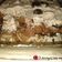 Cooksnap από pontikaki1985 στη συνταγή Τέλεια τούρτα μπισκότου OREO