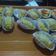 Cooksnap dari Nina Daryanti untuk resep Roti All varian