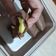 Cooksnap dari Dyah Isnaini Puspitasari untuk resep Dadar Gulung Cokelat Isi Vla Devina Hermawan