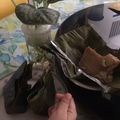 Cooksnap dari Ery untuk resep Pis Tuban/ Carang gesing pisang tanduk