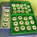 Cooksnap dari Lapak Lina untuk resep Kue Putri Ayu Kece Badai Anti Gagal