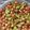 Vanika Agrawal's cooksnap of when they made Chana masala.