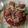 Kuldeep Kaur's cooksnap of when they made Gajar ka halwa.