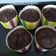 Cooksnap Akak Tanjung semasa beliau membuat Eggless Chocolate Cake tekstur ala Muffin Double Choc.