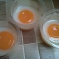 Cooksnap dari elvira Agustina untuk resep PUDING TELOR CEPLOK