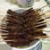 Cooksnap dari Niken untuk resep Sate Rembige