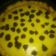 Cooksnap dari Myristicaa untuk resep Pie Susu Teflon Telur Sedikit