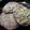 malooki's cooksnap of when they made Oatmeal Banana Bread Cookies.