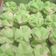 Cooksnap dari Makawalang Riqui untuk resep Bolu Kukus Tanpa Soda (takaran gelas) All in One, Step by Step