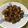 Cooksnap dari Maryori Olinger untuk resep Saikoro garlic butter
