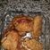 El cooksnap de Jesus de la Iglesia cuando hizo Filetes de pechuga de pollo rellenas.