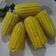 Cooksnap dari Kristin Wahyuni untuk resep Jagung-jagung Rebus