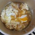 Cooksnap dari Vk untuk resep Japanese Oyakodon (Rice Bowl Ayam Telur khas Jepang)