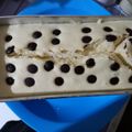 Cooksnap dari mellisa untuk resep Bolu Kukus Mekar Susu UHT