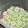 Cooksnap dari Iis Asri fauziah untuk resep Flowers Cake of Putu Ayu