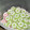Cooksnap dari Iis Asri fauziah untuk resep Flowers Cake of Putu Ayu