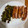 El cooksnap de Rodin cuando hizo Longaniza con pimiento rojo.