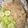 Madhu kapur's cooksnap of when they made Shahi mewa biryani.
