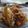 Cooksnap dari Olvy Yunfatika untuk resep Ayam Rica - Rica