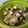 Cooksnap dari Joe Hanna Liong untuk resep Babi Cah Sayur Asin