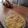 El cooksnap de Nicolás Sepúlveda cuando hizo Tortilla Española de papas.