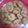 El cooksnap de Nathalia Pepe cuando hizo Galletitas con manteca de maní y harina integral, sin azúcar 🥜.