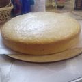 El cooksnap de Maria Alejandra Iglesias cuando hizo Torta súper económica Sin huevos Sin manteca ❤.