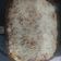 Cooksnap dari Dia Fadliyah untuk resep Dough Pizza Renyah Diluar Lembut di Dalam